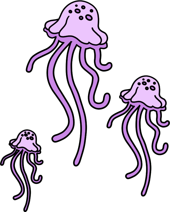 Jellyfish